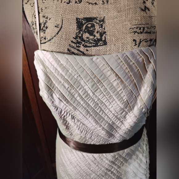 Watters and Watters Tan luminescent Formal Party Wedding Dress Size 10 NWT - Picture 7 of 7